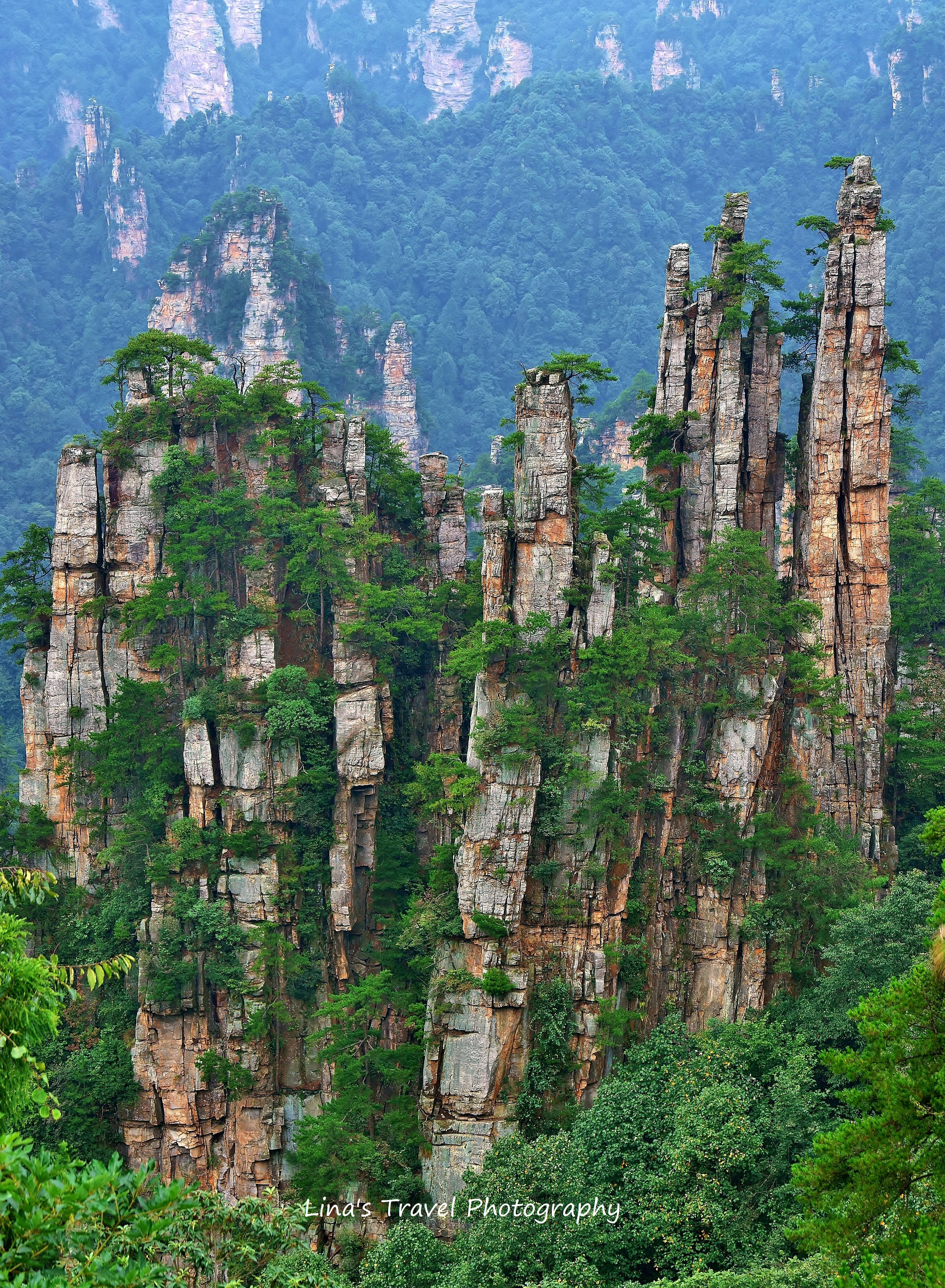Yubifeng, Imperial Pen Pillars, Tianzishan Area, Zhangjiajie National Forest Park, Zhangjiajie, Hunan, China